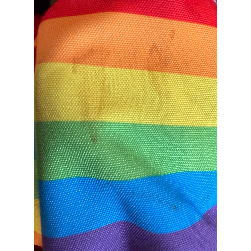 Dickies Unisex Large Backpack Colton Rainbow Striped Canvas Bag Festival School - Picture 8 of 8